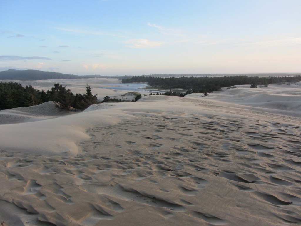 Florence OR Sand Dunes 4