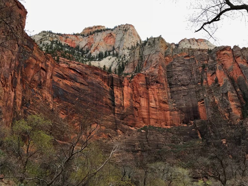 ZionNP-1