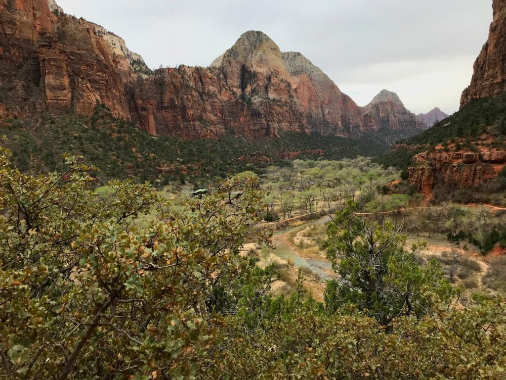 ZionNP-3